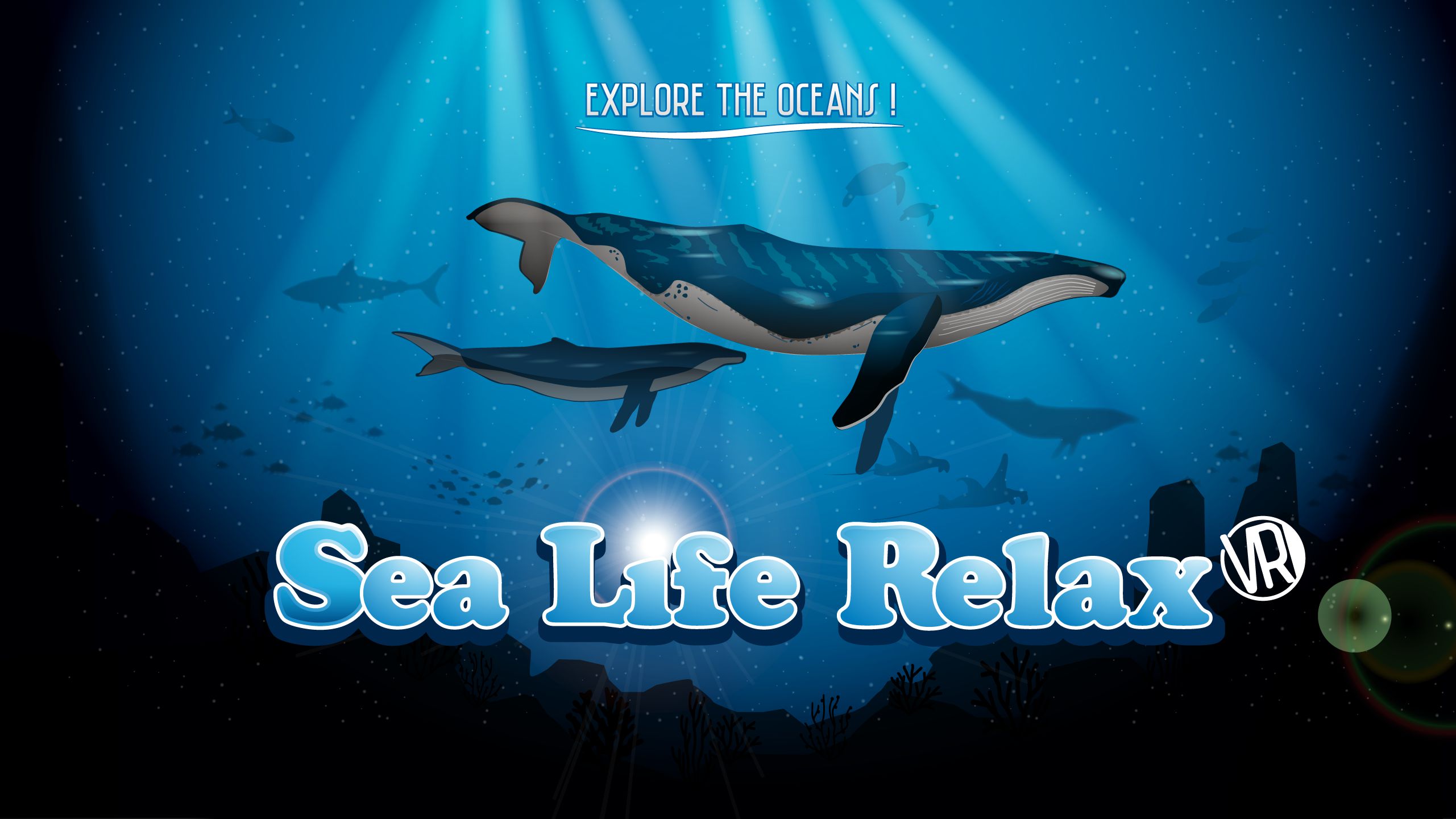 sea-life-relax-2560×1440-01